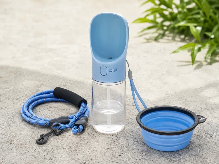 Portable pet water bottle with collapsible bowl and leash for pet travel dropshipping